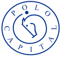 polocapital.co.za